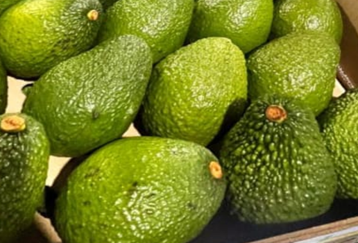 PALTA